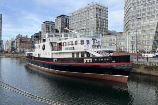 Daffodil in Canning Dock 2024